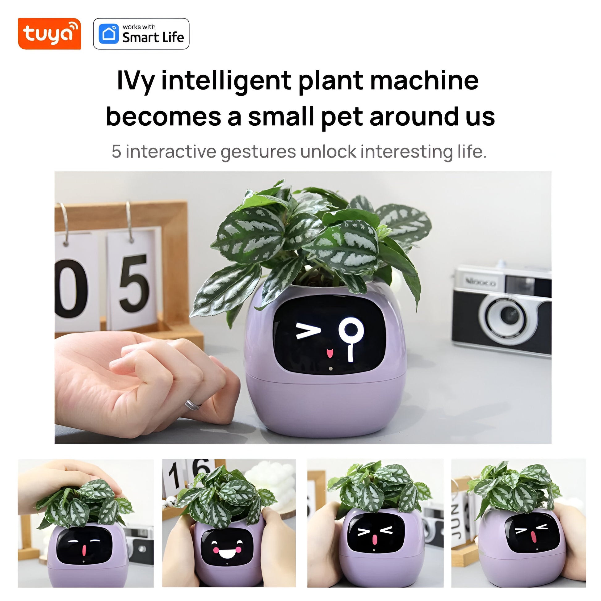 Smart Plant Express: 49+ Expressions, 7 Sensors, AI Chip for Easy Plant