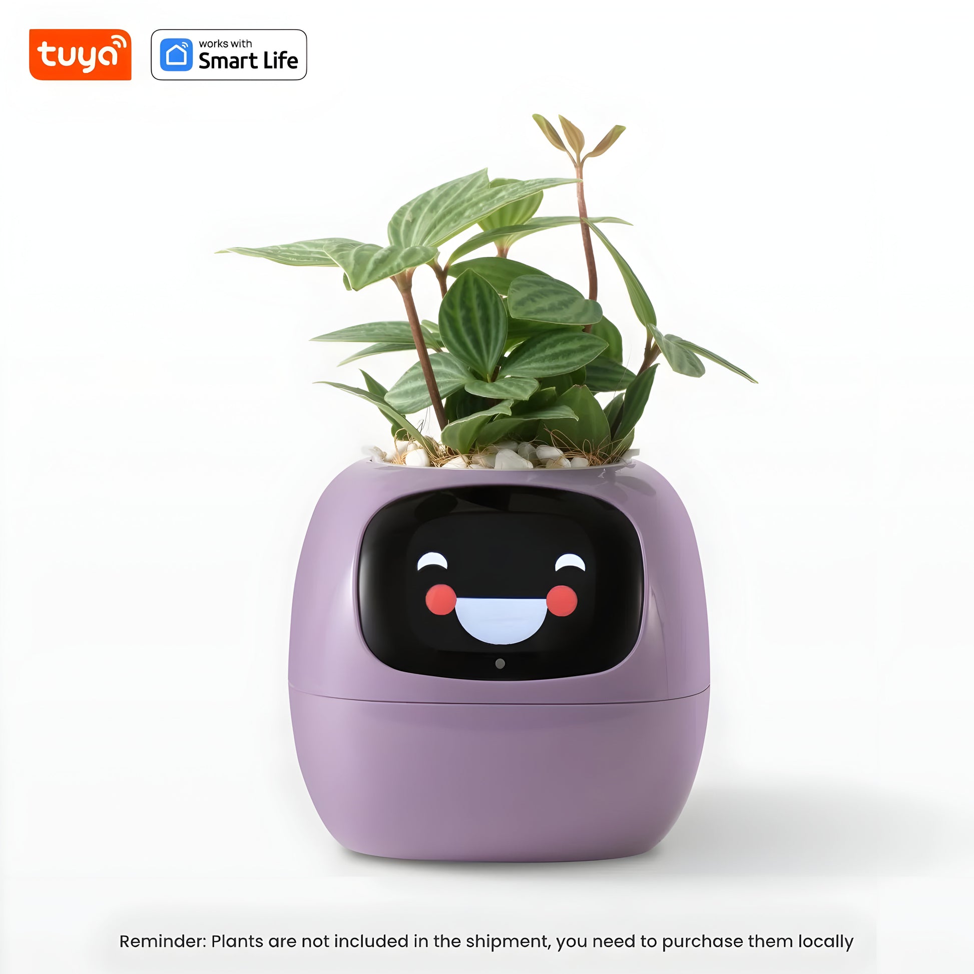 Smart Plant Express: 49+ Expressions, 7 Sensors, AI Chip for Easy Plant