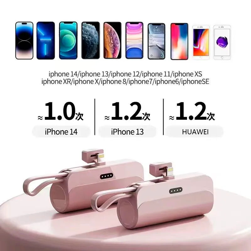 2-in-1 Portable Power Bank: 10000mAh and 5000mAh, Type-C Fast Charger and Lightning Usb Port