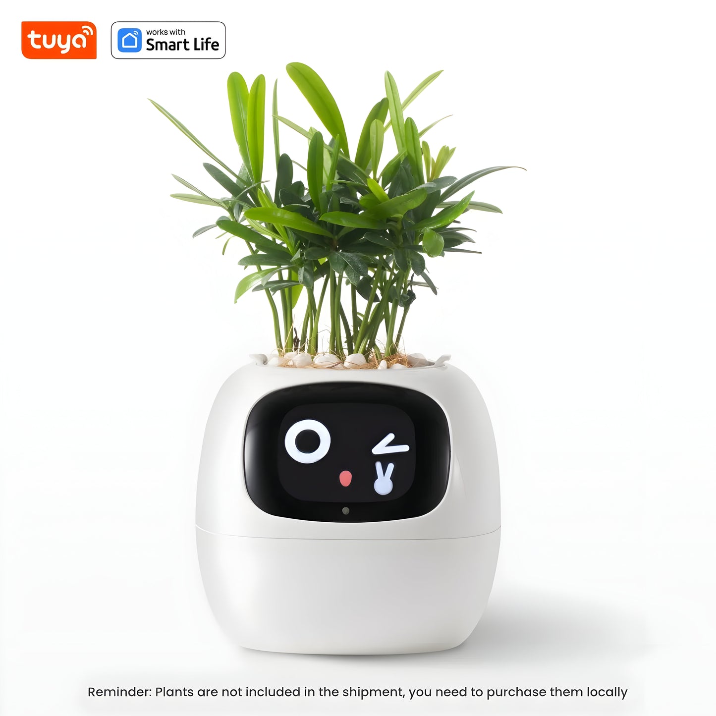 Smart Plant Express: 49+ Expressions, 7 Sensors, AI Chip for Easy Plant
