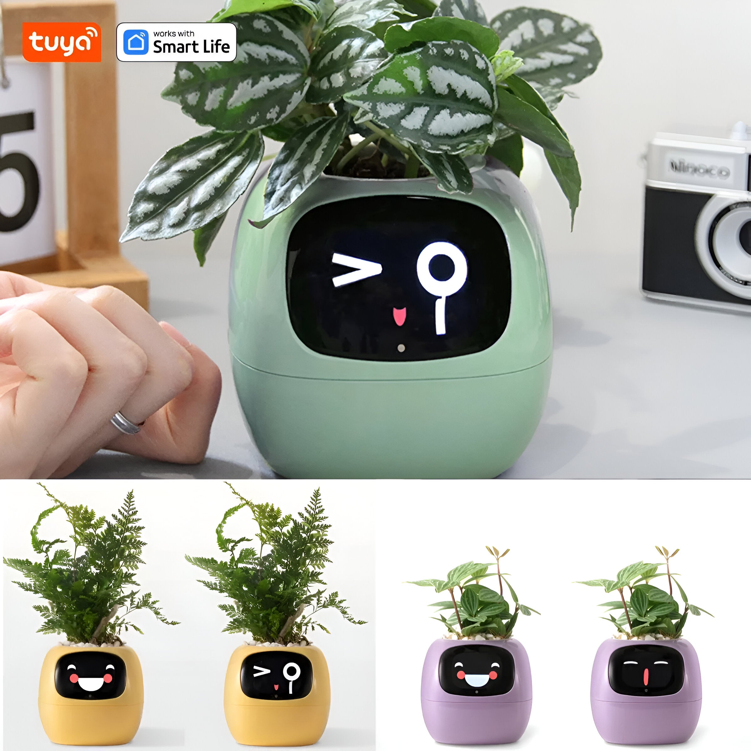 Smart Plant Express: 49+ Expressions, 7 Sensors, AI Chip for Easy Plant